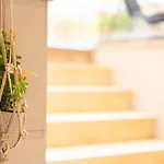 Отель Vellum Luxury Living